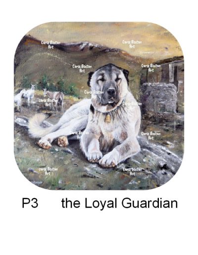 P3-the-Loyal-Guardian